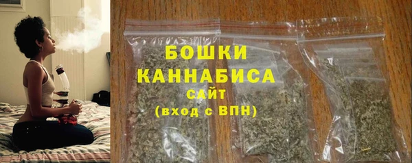 дурь Рославль