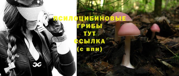 дурь Рославль