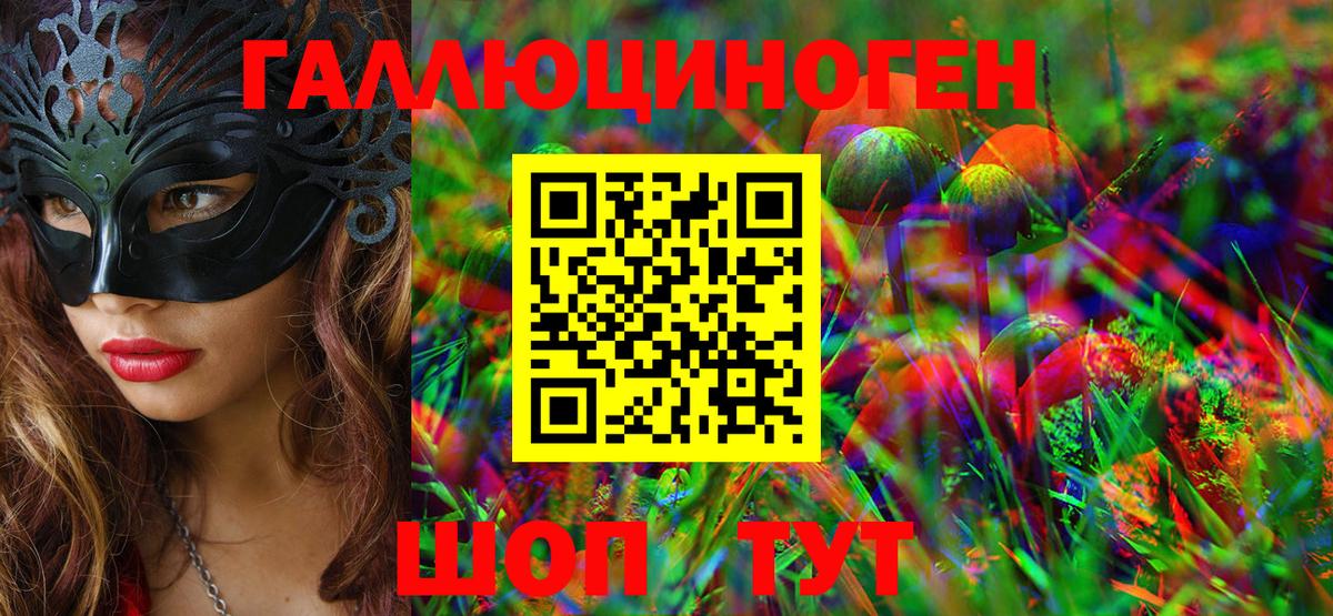 Юрга  Псилоцибиновые грибы Psilocybe  Вход с VPN 